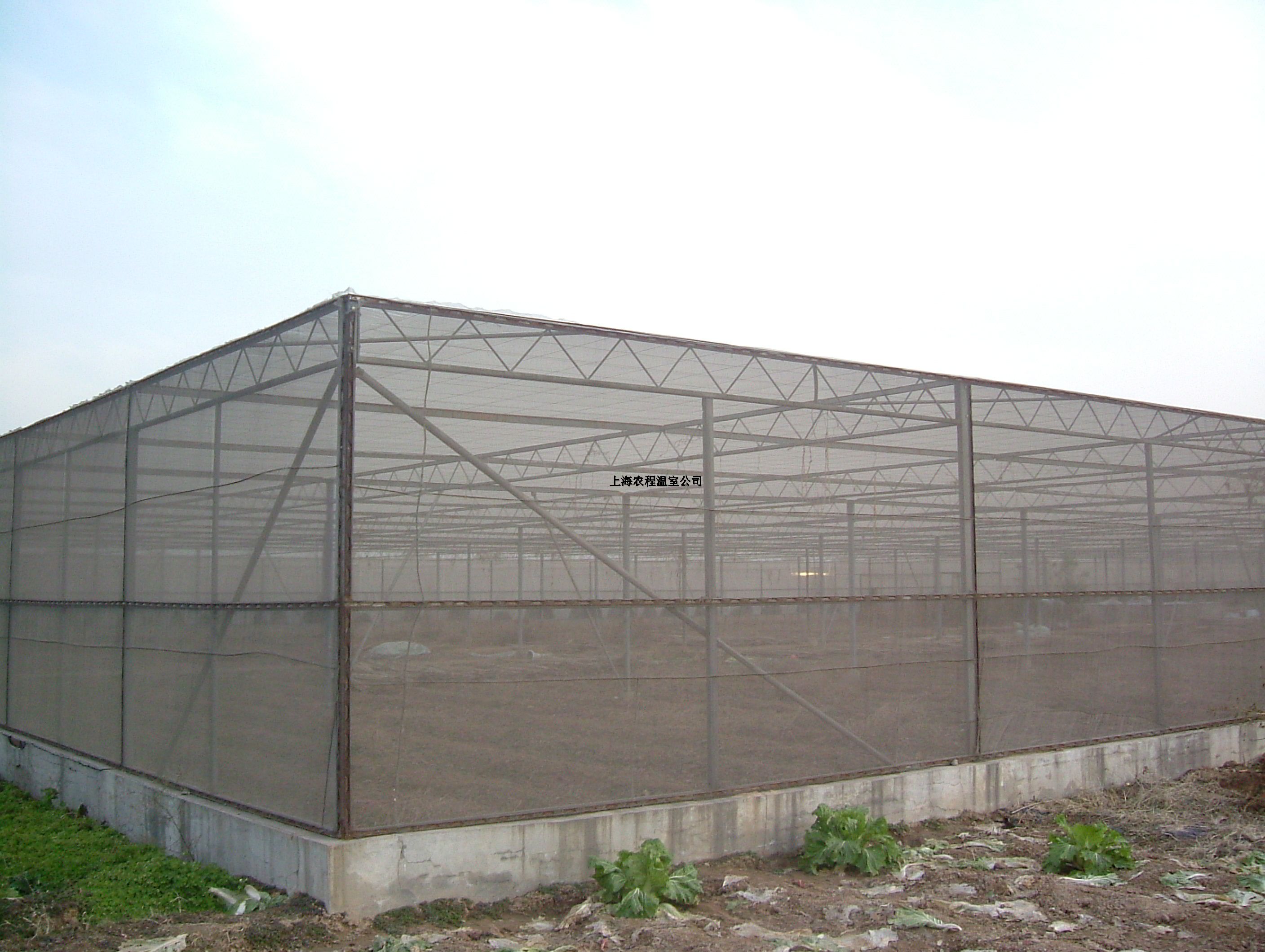 上海麻豆AⅤ精品无码一区二区