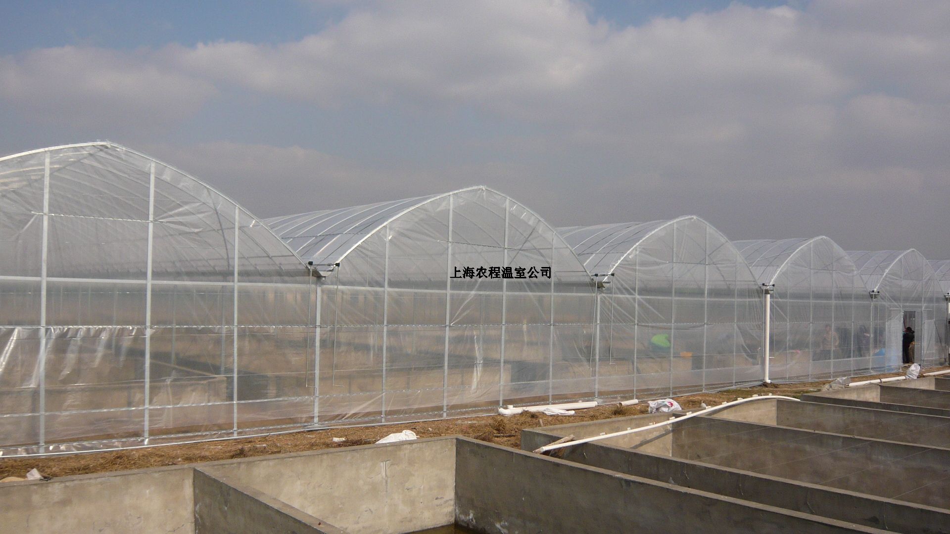 上海麻豆AⅤ精品无码一区二区