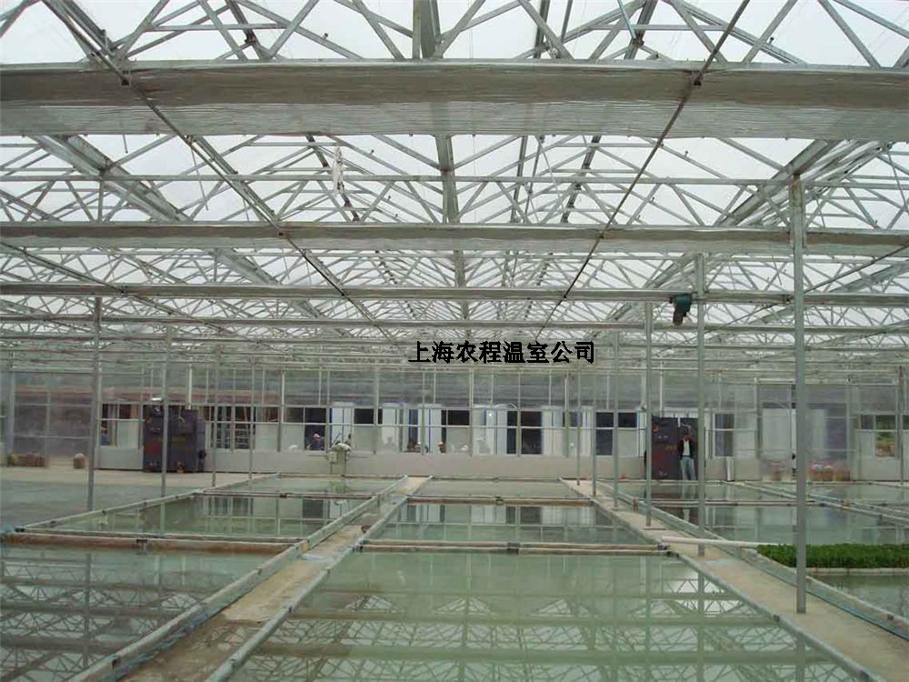 上海（hǎi）麻豆AⅤ精品无码一区二区